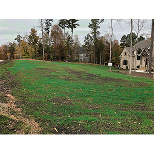 Compost stabilization Day 7 - residential home.